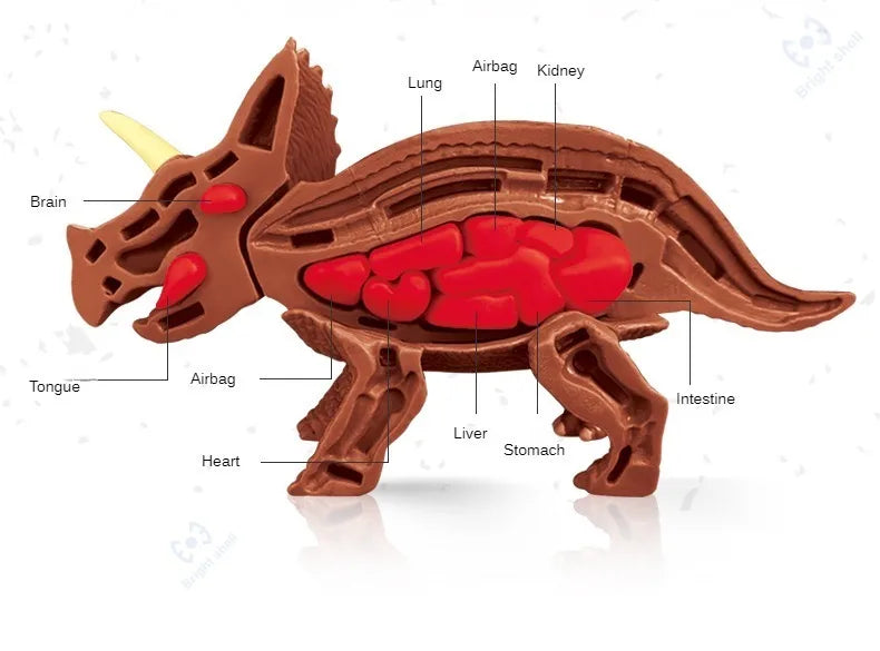 Jurassic World Kids Dinosaur Toy DIY Fossil Archaeology Excavation Kit Skeletons Dig Stem Science Educational Toys for Children