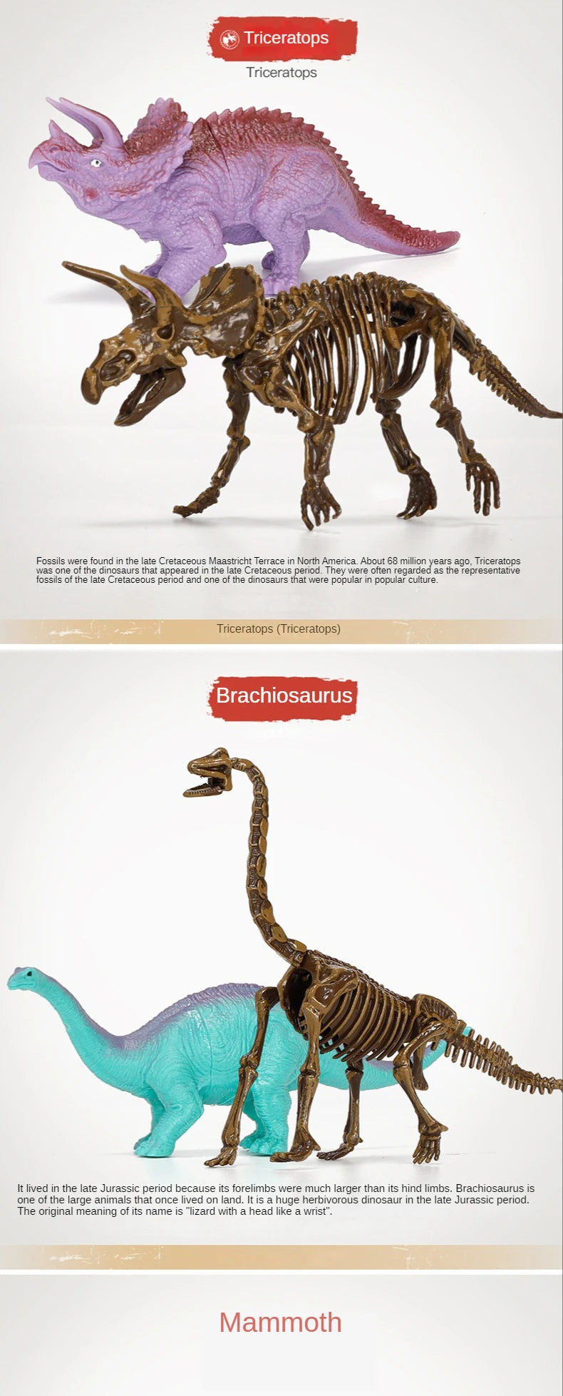 Jurassic World Kids Dinosaur Toy DIY Fossil Archaeology Excavation Kit Skeletons Dig Stem Science Educational Toys for Children