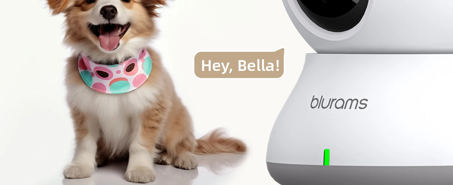 Blurams 2.4GHz WiFi Indoor Camera, 2K, 360° PTZ Pet Dog IP CCTV Camera with Phone App, 2-Way Talk, Night Vision, for Home Securi