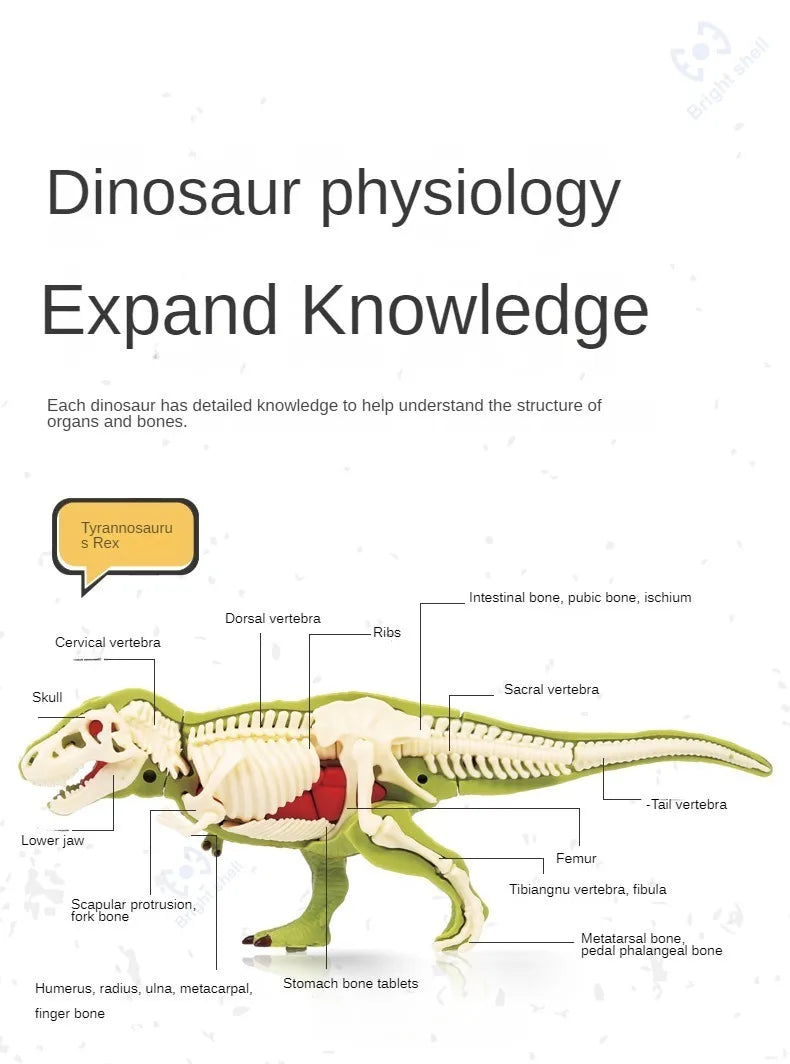 Jurassic World Kids Dinosaur Toy DIY Fossil Archaeology Excavation Kit Skeletons Dig Stem Science Educational Toys for Children