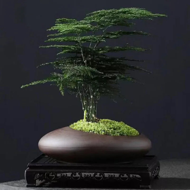 Retro Purple Clay Plant Pot Chinese Style Orchid Asparagus Viridis Flower Pot Breathable Vase Desktop Ornaments Garden Decor