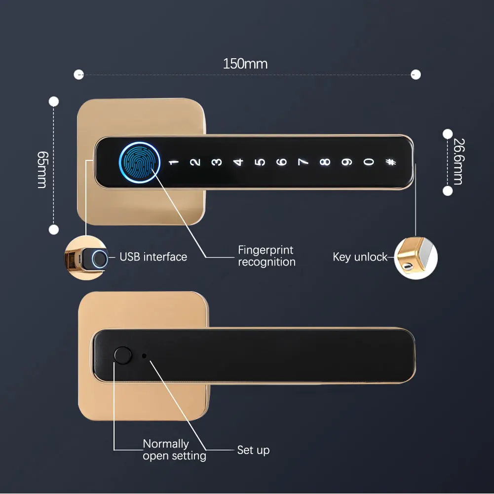 Biometric Smart Door Lock Fingerprint Password Electric Digital Handle Tuya Zinc Alloy Keyless Remotely Security Home KingKu