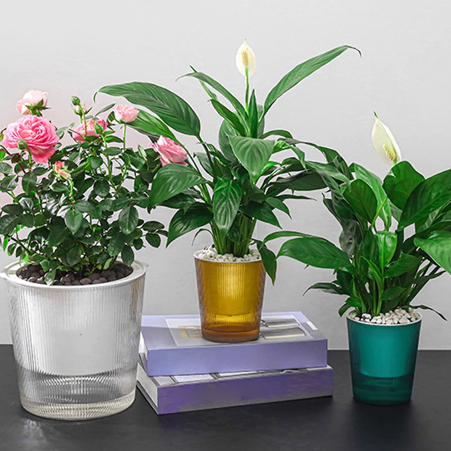 Clear Self Watering Planters Pots Automatic Water Absorption Potted Flowerpot Suitable For Living Room Plants Flowers Supplies