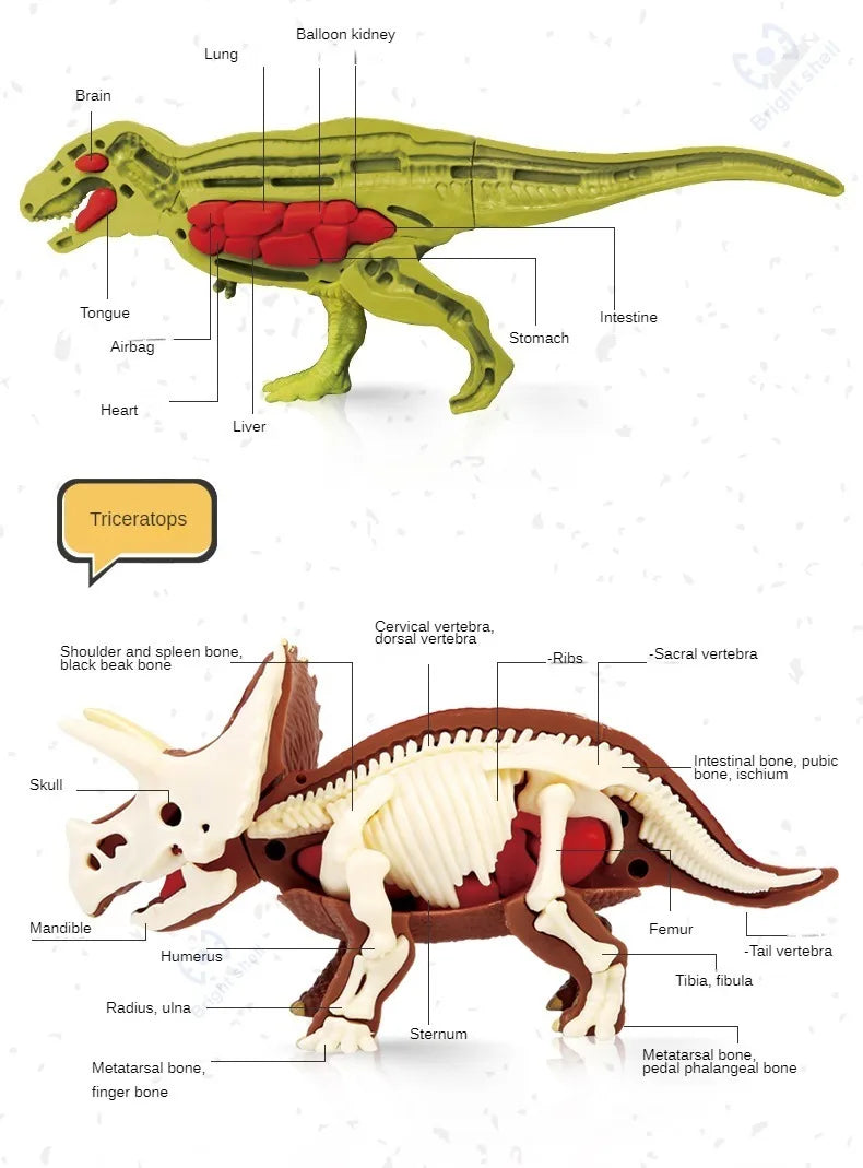 Jurassic World Kids Dinosaur Toy DIY Fossil Archaeology Excavation Kit Skeletons Dig Stem Science Educational Toys for Children