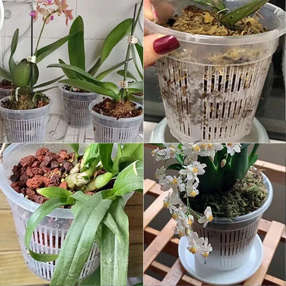 5pcs Orchid Pot With Saucers Plastic Clear Flower Plant Repotting Pot With Holes Mesh Pot Root Control Orchid Flower Breathable