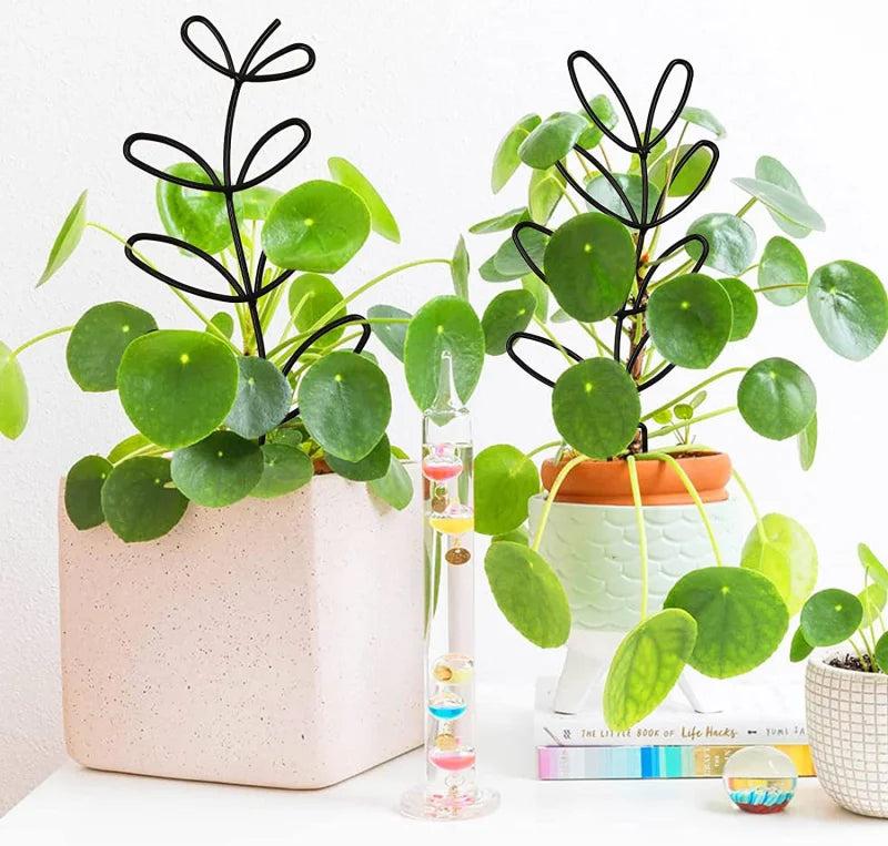 Decoration Indoor Outdoor Potted Ornament Garden Arrangement Plant Trellis Leaf Shape Bracket Vine Climbing Support
