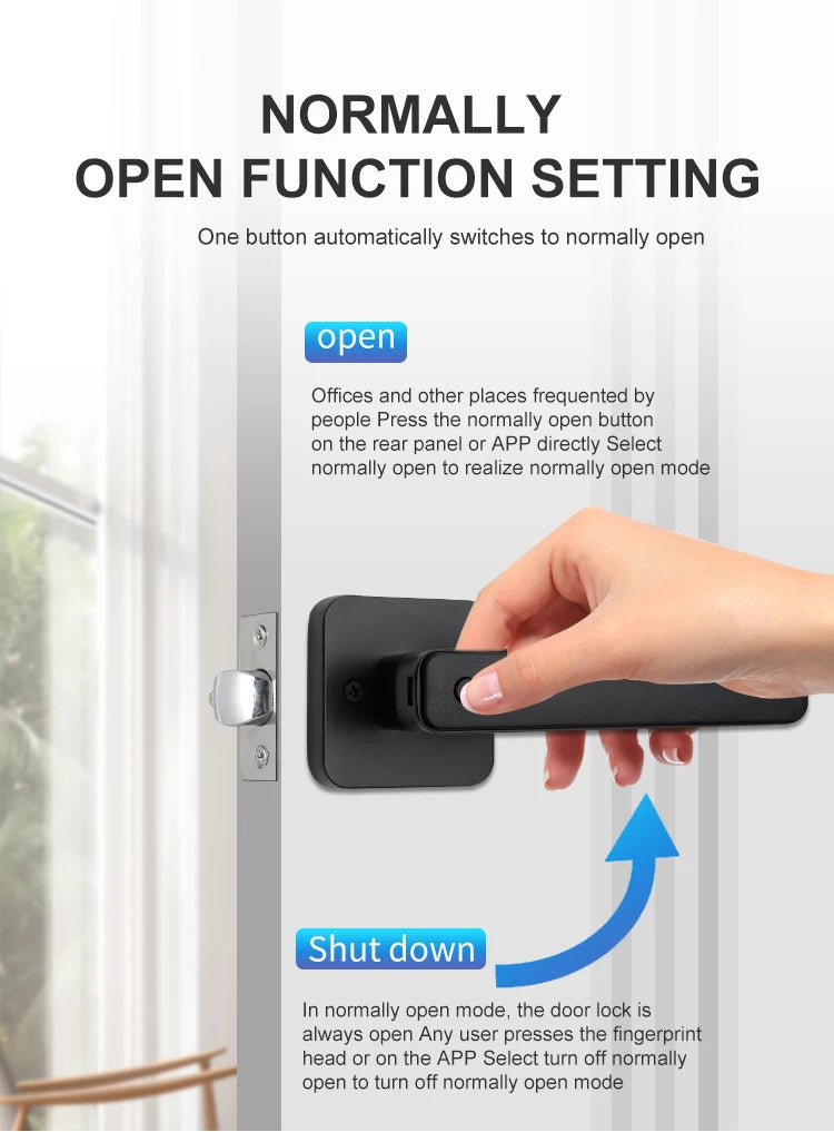 Biometric Smart Door Lock Fingerprint Password Electric Digital Handle Tuya Zinc Alloy Keyless Remotely Security Home KingKu